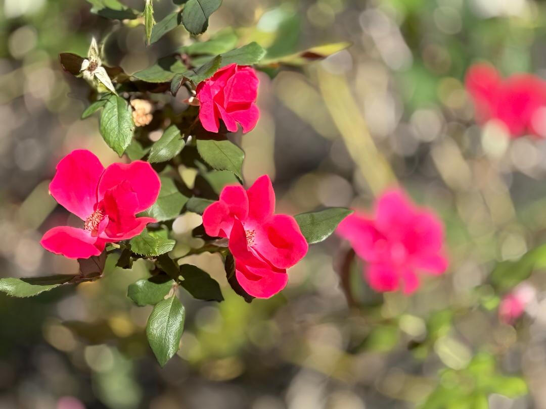 Nature &amp; Landscape